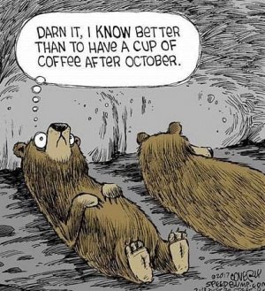 bear joke.jpg