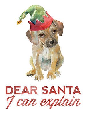 christmas-retriever-puppy-i-lanie-loreth.jpg