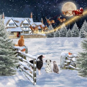 farmsanta.jpg