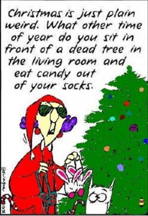 christmas5.jpg