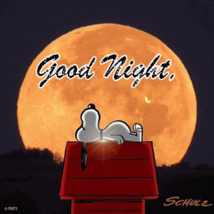 Good nigh y'all.gif