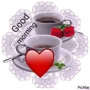 IMG_5617.jpeg