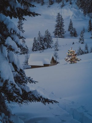 winter-6890764_1280.jpg