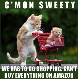 goshopping.jpg