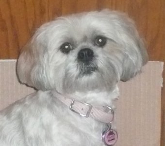 Sammie face.jpg