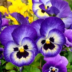 IMG_0143.jpeg