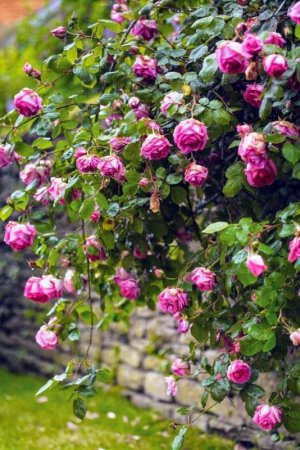 tumblr_09b6e5184637a9083f876e708211c182_06a0e306_640.jpg