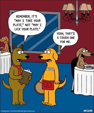 lickyourplate.jpg