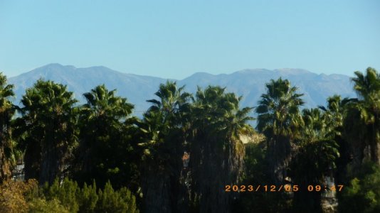 IMGP0497.JPG