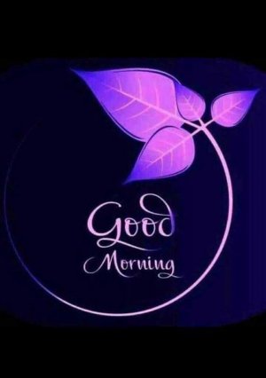 475b4ba48792cd3b3a9e4355ea674be7.jpg