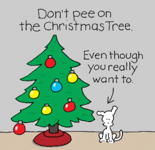 don't pee on tree. gif.gif