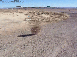 proxy-image.gif