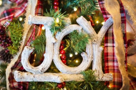 joy-1823939_1280.jpg