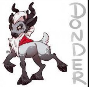 Donder.JPG