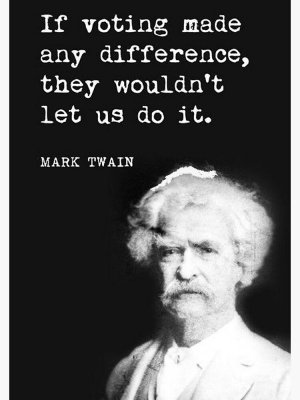 twain_voting.jpg