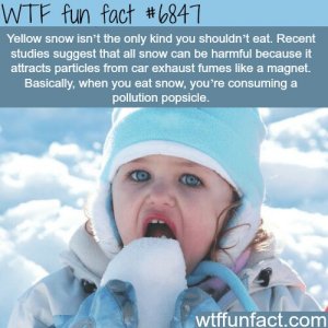 fumes-like-a-magnet-basically-when-you-eat-snow-youre-consuming-a-pollution-popsicle-wtffunfac...jpg
