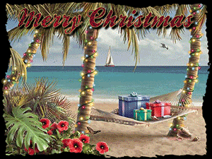 tropical xmas. gif.gif