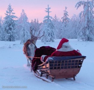 christmas5.jpg
