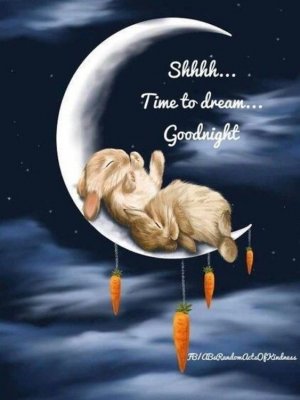347367-Time-To-Dream.jpg