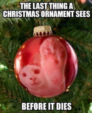 decoration.jpg