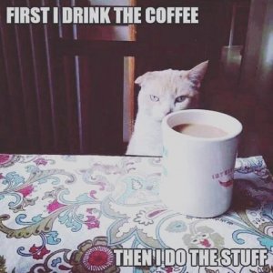 IMG_0151.jpeg