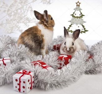 christmas4.jpg