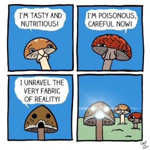 3mushrooms-LOL.jpeg