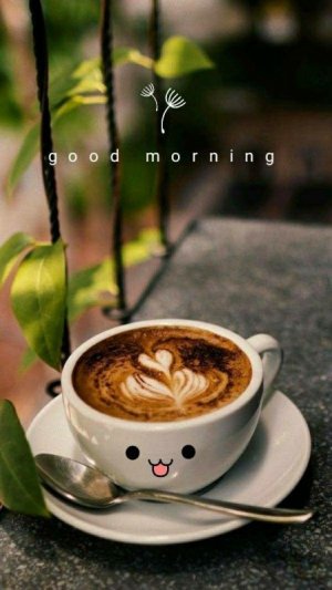 4cede573e29cd2351c1cf844db92a626.jpg