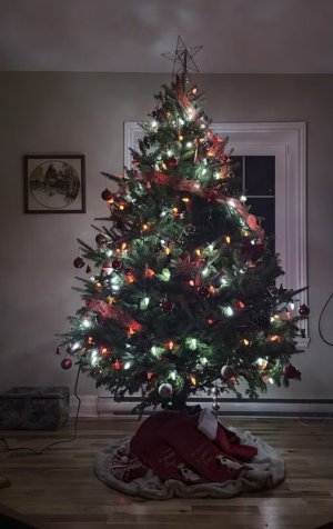 IMG_4670.jpeg