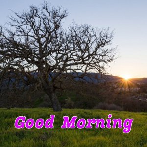 5D95C816-9972-485C-AA89-3E7FDC7D8147.jpeg