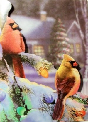 card10a.jpg