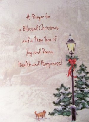 card33b.jpg