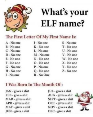 elf.jpg