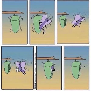 Java Journey.jpg