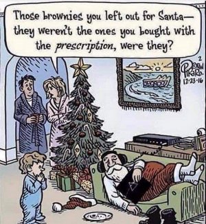 santasbrownies.jpg