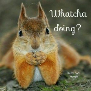 6d380c50df9eb831d15c2b486c86c725[1].jpg