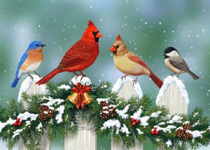 winter-birds-and-christmas-garland-crista-forest.jpg