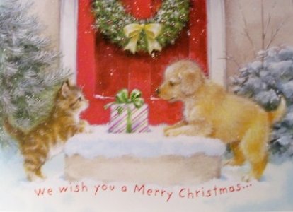 card15a.jpg