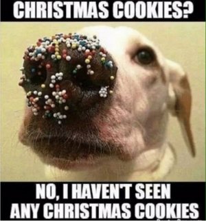 whatcookies.jpg