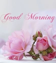 0ae9c4a4f8f7f2f1b794f8c39081ee0b.jpg