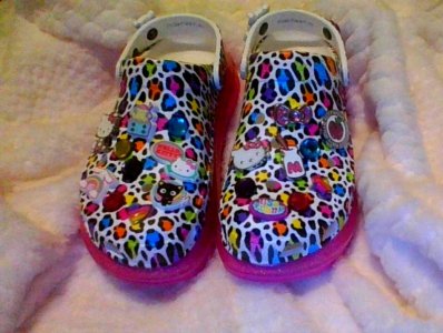 IMG_20231209_183059.jpg IMG_20231209_183059.jpg