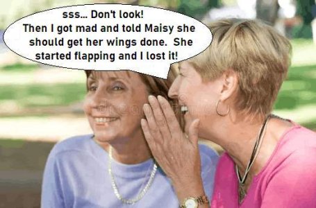Wings.jpg