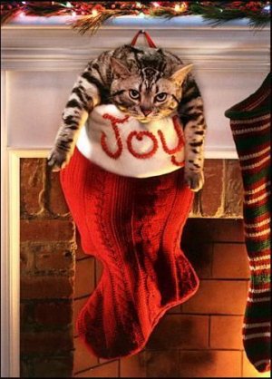 christmas20.jpg
