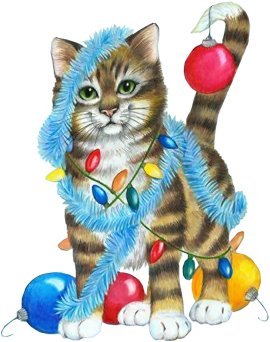 cat & ornaments.jpg