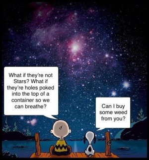 stars.jpg