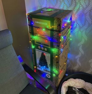 creative-christmas-trees-16-63972bf0d1511__700.jpg