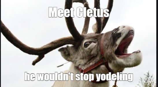 Cletus.JPG
