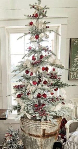 47ce8c0c51ff0ae8d6e45975b4d04ffd[1].jpg
