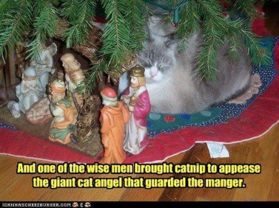 IMG_8089.jpeg