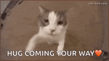 hug-love.gif